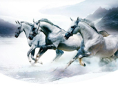 省内排行前十，，，，，，设计、施工实力排前